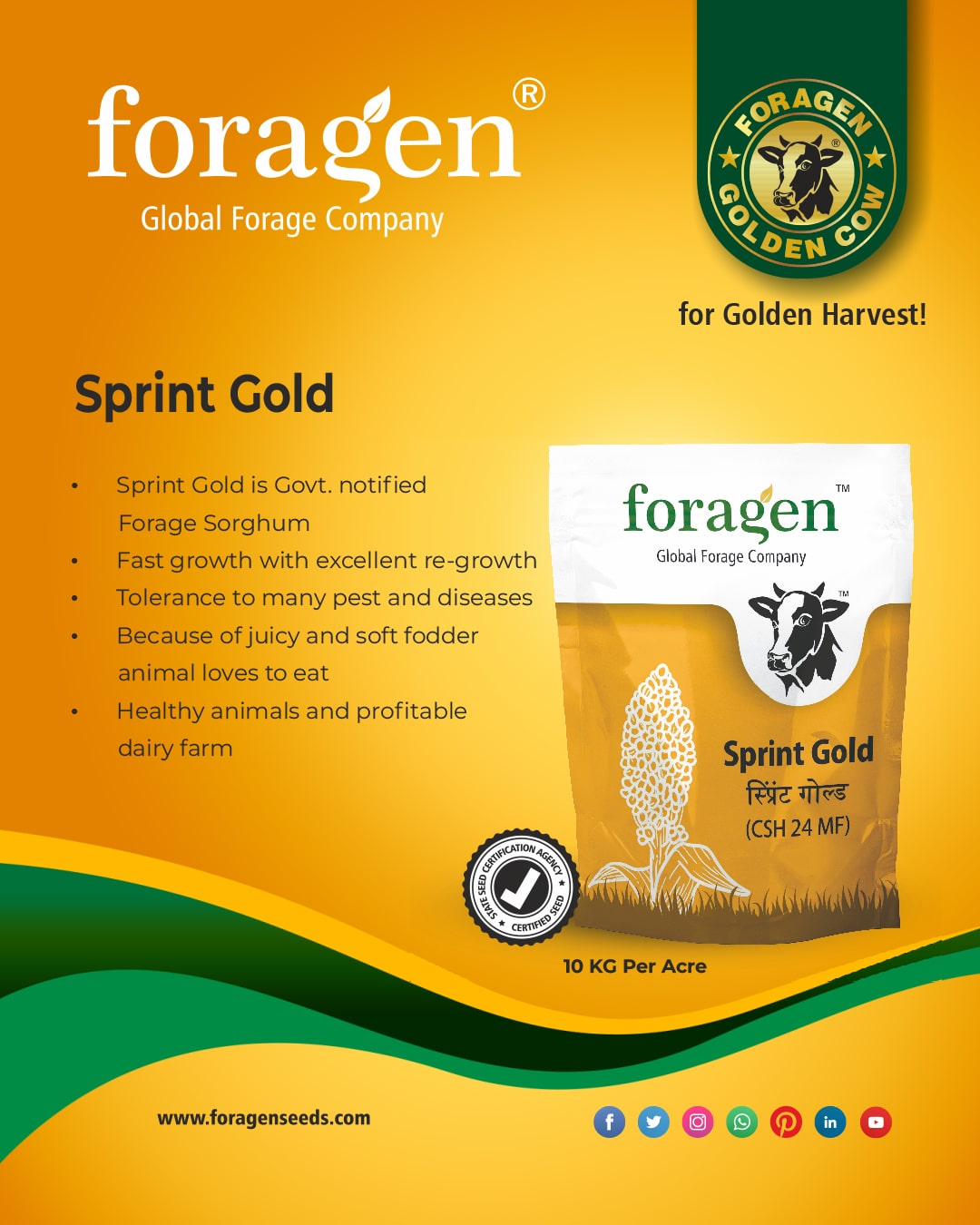Sprint gold image