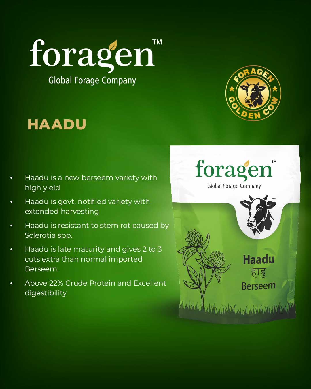 Haadu image
