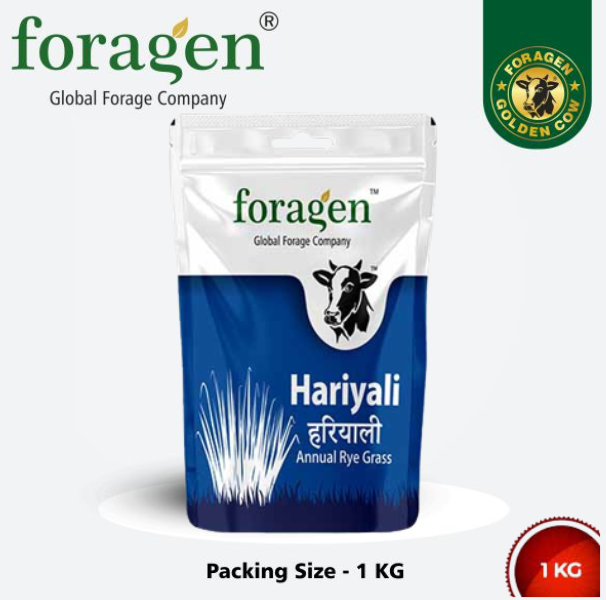 HARIYALI