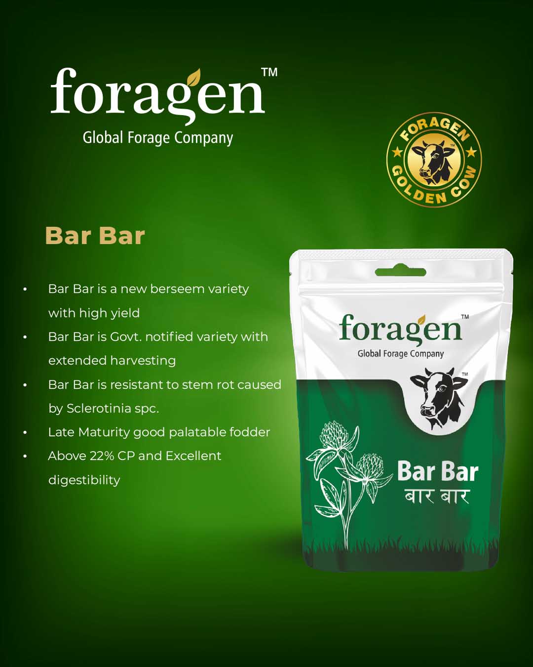 Bar-Bar image