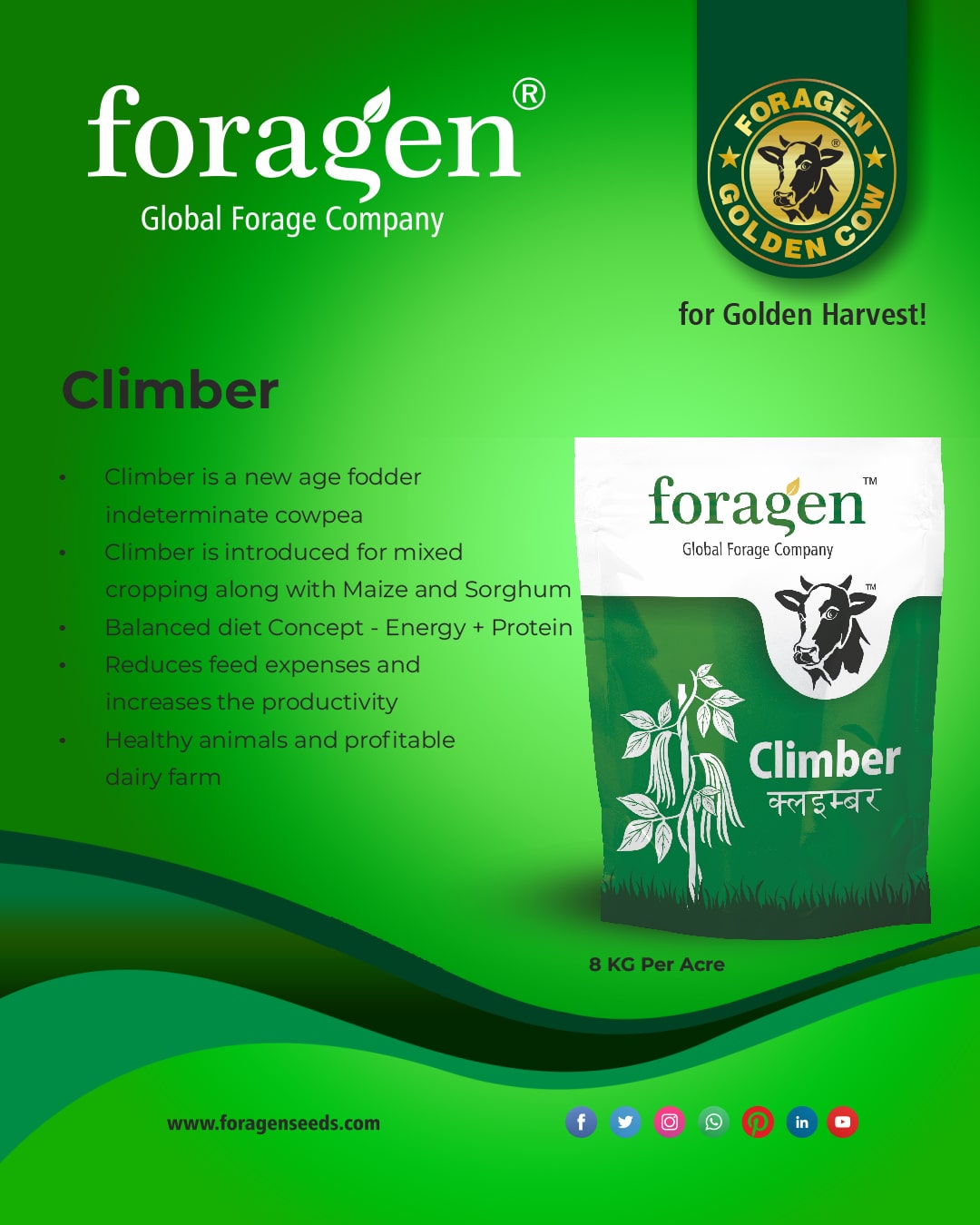 Climber image