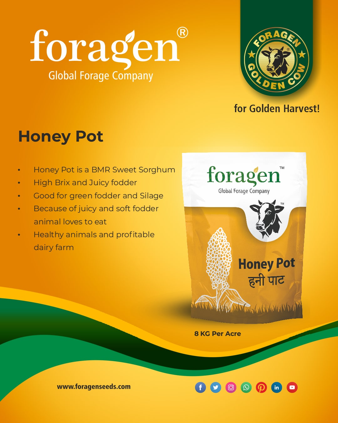 Honey pot image