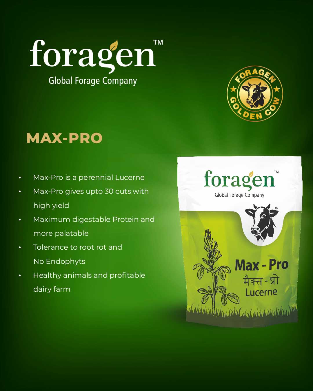 max pro image