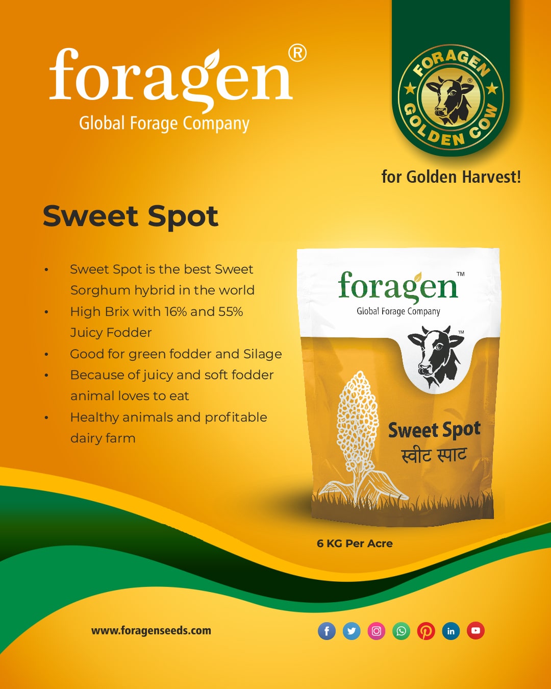 Sweet-spot image
